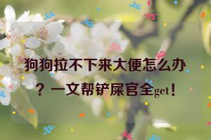 狗狗拉不下来大便怎么办？一文帮铲屎官全get！