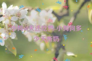 小狗60天还吃奶-小狗狗多少天断奶