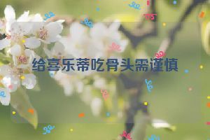 给喜乐蒂吃骨头需谨慎