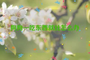 狗狗一吃东西就吐怎么办