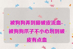 被狗狗弄到脚破皮流血-被狗狗爪子不小心划到破皮有点血