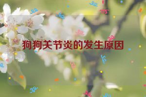 狗狗关节炎的发生原因