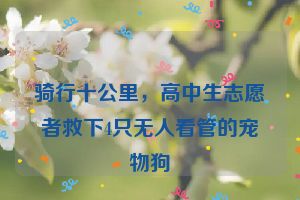 骑行十公里，高中生志愿者救下4只无人看管的宠物狗