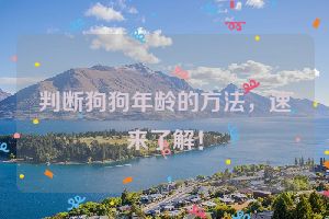 判断狗狗年龄的方法，速来了解！