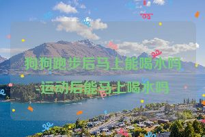 狗狗跑步后马上能喝水吗-运动后能马上喝水吗