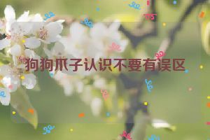 狗狗爪子认识不要有误区