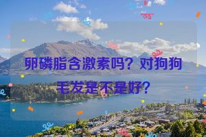 卵磷脂含激素吗？对狗狗毛发是不是好？