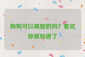 狗狗可以喝酸奶吗？看完你就知道了