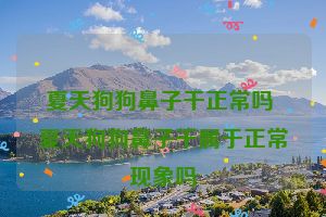 夏天狗狗鼻子干正常吗 夏天狗狗鼻子干属于正常现象吗