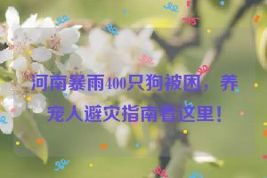 河南暴雨400只狗被困，养宠人避灾指南看这里！