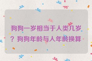 狗狗一岁相当于人类几岁？狗狗年龄与人年龄换算