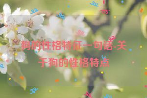 狗的性格特征一句话-关于狗的性格特点