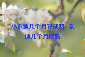 小泰迪几个月算成熟- 泰迪几个月成熟
