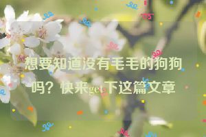 想要知道没有毛毛的狗狗吗？快来get下这篇文章