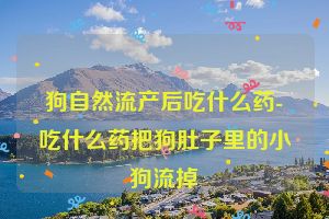 狗自然流产后吃什么药-吃什么药把狗肚子里的小狗流掉