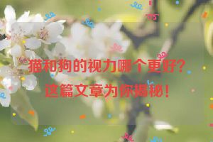 猫和狗的视力哪个更好？这篇文章为你揭秘！