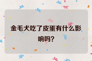 金毛犬吃了皮蛋有什么影响吗？