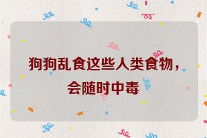 狗狗乱食这些人类食物,会随时中毒