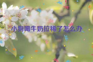 小狗喝牛奶拉稀了怎么办