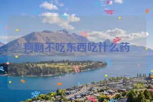 狗狗不吃东西吃什么药