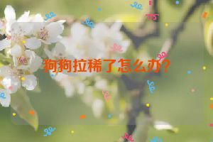 狗狗拉稀了怎么办？