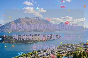 狗狗贫血的症状及治疗药物(狗狗过敏性鼻炎症状治疗药物)