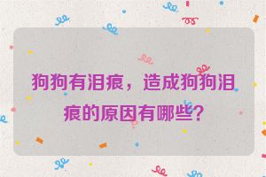 狗狗有泪痕，造成狗狗泪痕的原因有哪些？