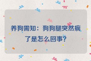 养狗需知：狗狗腿突然瘸了是怎么回事？