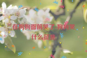 在狗狗面前哭了-狗狗哭什么征兆