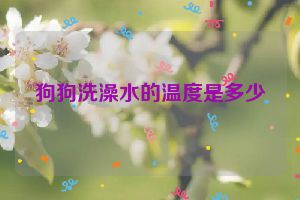 狗狗洗澡水的温度是多少