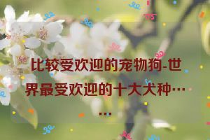 比较受欢迎的宠物狗-世界最受欢迎的十大犬种……