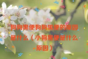 狗狗黑便狗狗黑便的原因是什么（小狗黑便是什么原因）