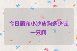 今日萌宠小沙皮狗多少钱一只啊
