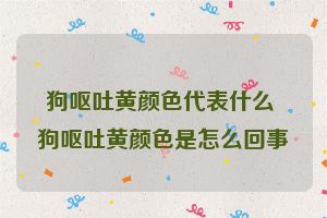 狗呕吐黄颜色代表什么 狗呕吐黄颜色是怎么回事