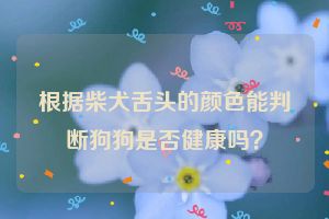 根据柴犬舌头的颜色能判断狗狗是否健康吗？