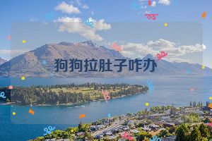 狗狗拉肚子咋办