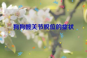 狗狗髋关节脱位的症状