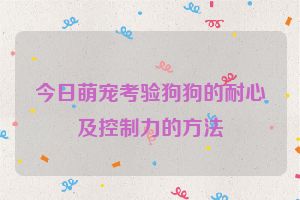 今日萌宠考验狗狗的耐心及控制力的方法