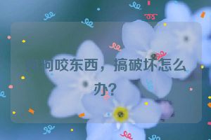 狗狗咬东西，搞破坏怎么办？