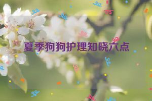 夏季狗狗护理知晓六点