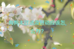 狗狗太过活泼好动应该怎么办？