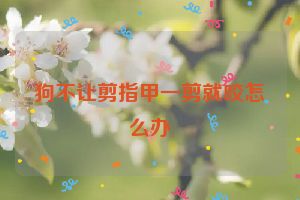 狗不让剪指甲一剪就咬怎么办