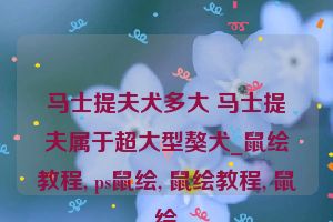 马士提夫犬多大 马士提夫属于超大型獒犬_鼠绘教程, ps鼠绘, 鼠绘教程, 鼠绘