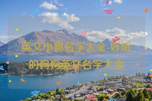 英文小狗名字大全-好听的狗狗英文名字大全