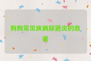 狗狗常见疾病尿道炎的危害