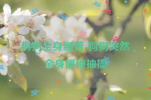 狗狗全身绷着-狗狗突然全身僵硬抽搐