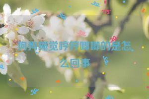 狗狗睡觉哼哼唧唧的是怎么回事