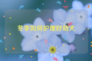 冬季如何护理好幼犬