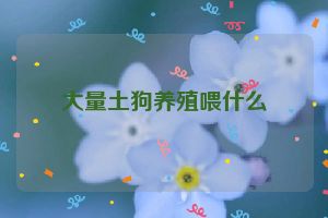 大量土狗养殖喂什么