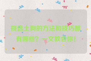 挑选土狗的方法和技巧都有哪些？一文教会你！